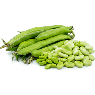 Fave fresche  Lazio / Basilicata/ AbruzzoAl kg