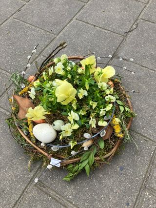 Dekoracja z bratków