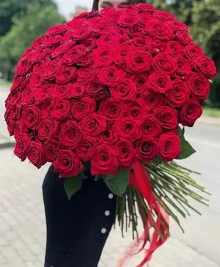 Trandafiri roșii Premium — The Grand Passion