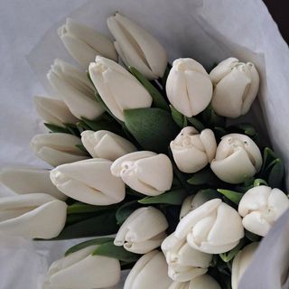 Тюльпан білий, 1 шт