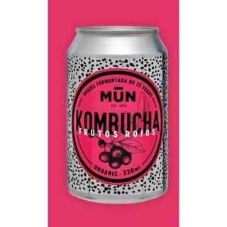 Kombucha frutos rojos (330 ml.)