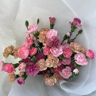 Bukiet pastelowych goździków średni 