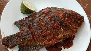 Fish Fry  Wet