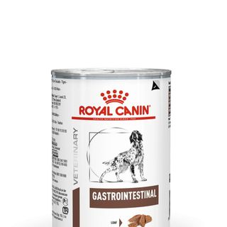 Royal Canin Conserva Gastrointestinal Caine Mare