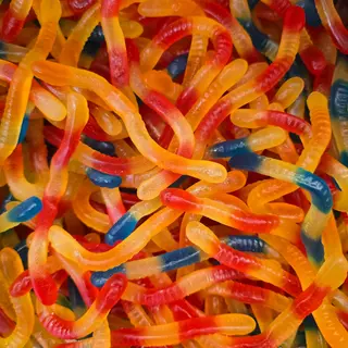 Gusanos Brillo