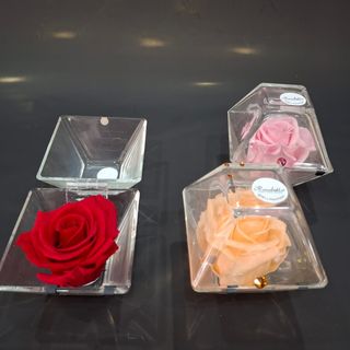 Rosa stabilizzata in cofanetto di vetro