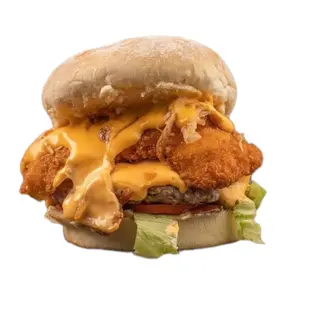 Burger Mixte