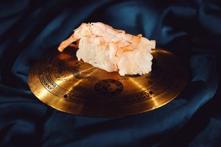 კრევეტის ნიგირი