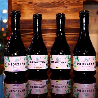 Kombucha Meduzyna