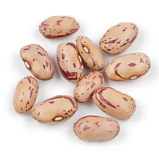 Borlotti secchi al kg