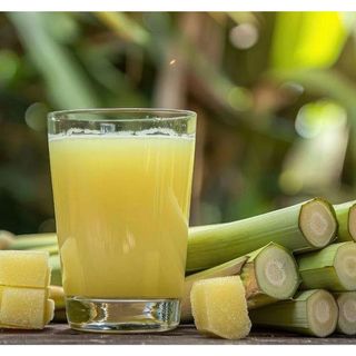 Sugarcane
