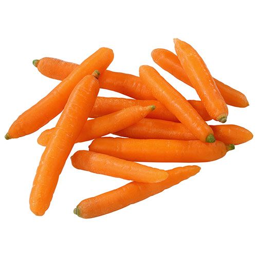 Legume Bio