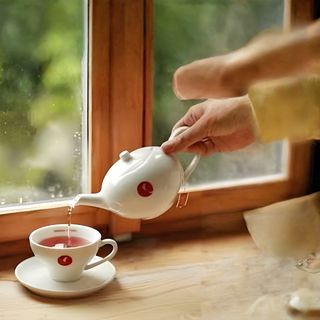 Ceai Bio Julius Meinl