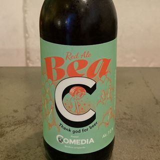 birra bio vegana artiginale