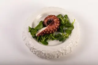 Polpo alla griglia