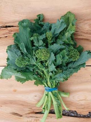 Fasci friarielli 5 pezzi