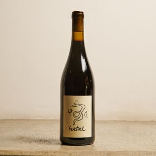 FERÈSTEC :: Negre de parcel·la