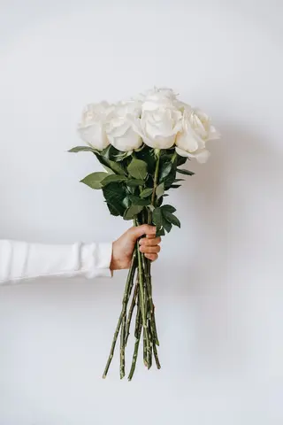 10 თეთრი ვარდი