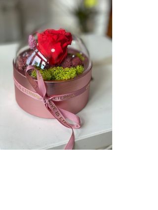 Trandafir Criogenat Cutie Roz