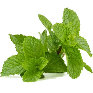 Hierbabuena Manojo 50g