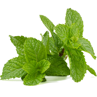 Hierbabuena Manojo 50g