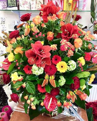 Cosulet Cu 101 De Fire Mixte