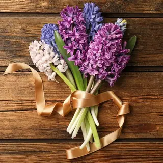 Buchet 7 zambile mixt
