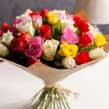 25 Trandafiri multicolori Olanda