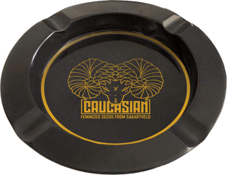 CAUCASIAN ASTHREY - კავკასიურის საფერფლე