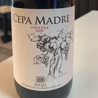 VINO RIOJA TINTO CIANZA