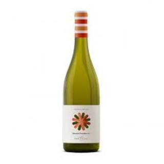 Costa del Mulino Pecorino DOC 75 cl