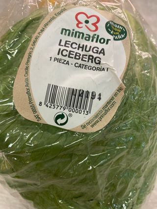 Iceberg
