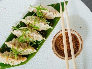 Pierożki gyoza z warzywami 5 szt.