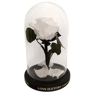 Cúpula de cristal con Rosa Eterna Blanca