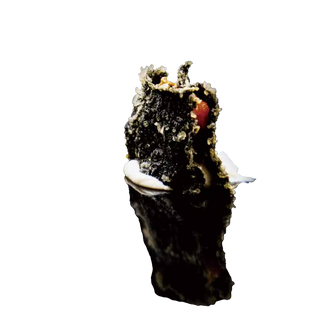 830.Nori croccante salmone
