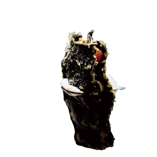 830.Nori croccante salmone