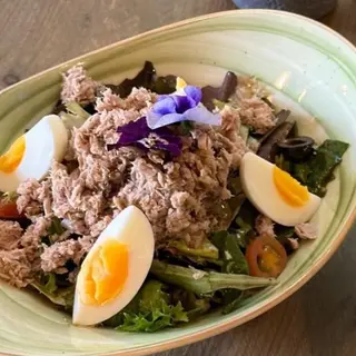Tuna Mediterranean
