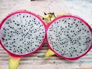 Pitaya al pezzo 