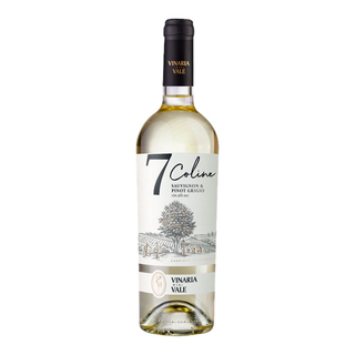 Vinaria din Vale 7 coline