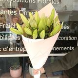 Lys Blancs 