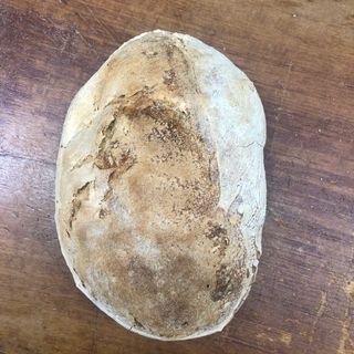 Pane Senatori Cappelli da gr. 500