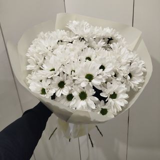 7 галузок білої хризантеми (ромашка) 