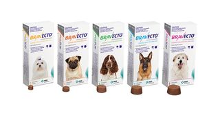 Bravecto chewable tablet for 10-20kg dogs 12-week flea and tick protection