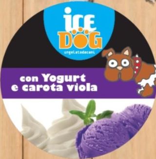 Gelato al gusto "Yogurt e carota viola"