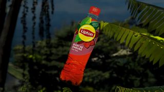 Lipton Zmeura