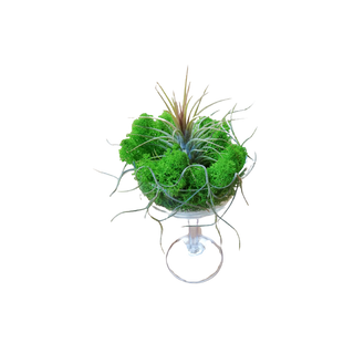 Aranjament flori naturale, cod AF32