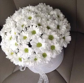 თეთრი ქრიზანთემები ყუთში