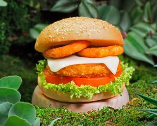 Burguer Vegana Urubamba