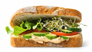 Sandwich vegetal