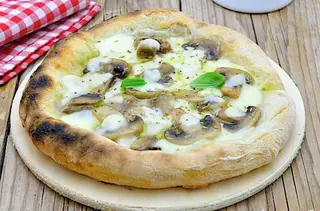 Funghi